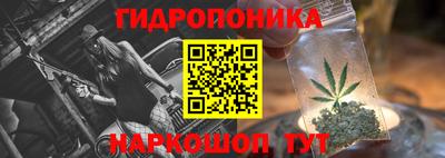 герыч Кингисепп