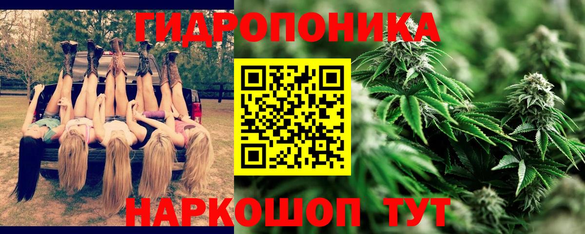 Каннабис AK-47 Радужный